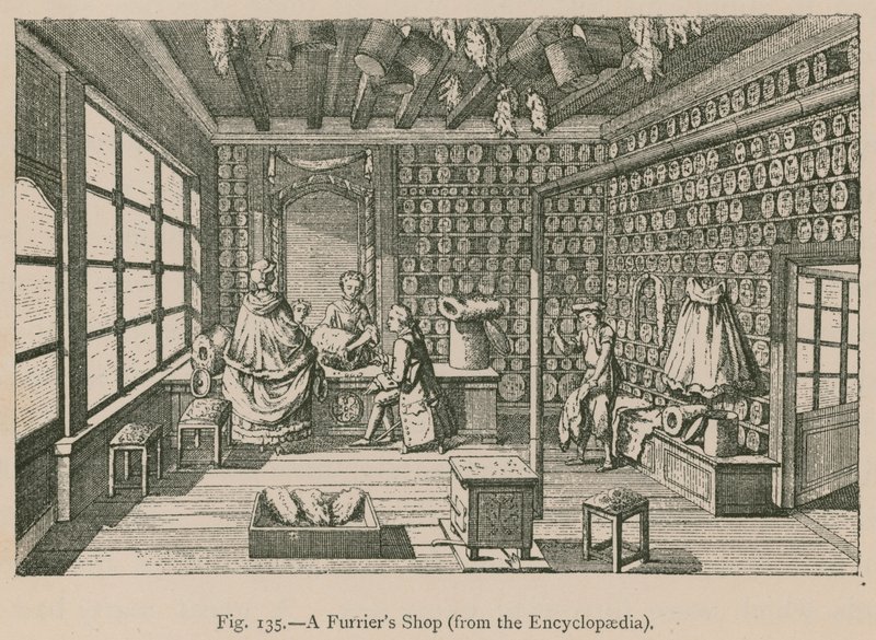 A Furrier Shop (från Encyclopaedia) av French School