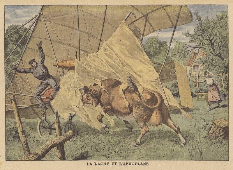 En ko attackerar ett flygplan i den amerikanska mellanvästern (färg litho) av French School