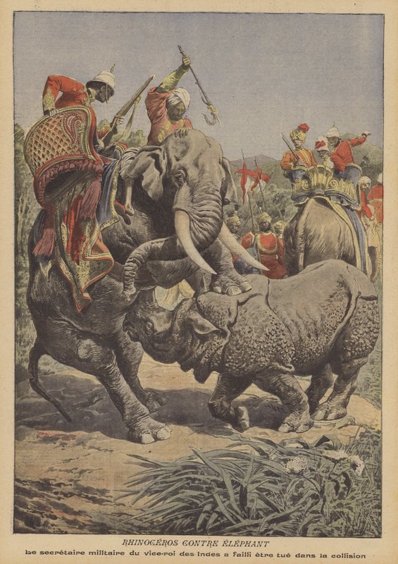 En noshörning attackerar en elefant i Indien (färg litho) av French School