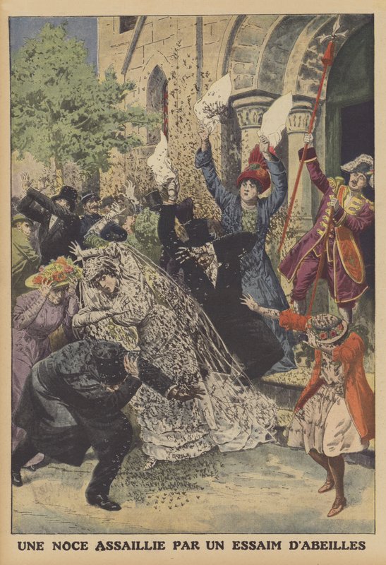 Ett bröllop angripet av en binsvärm (färg litho) av French School