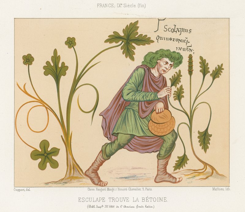 Aesculapius upptäcker betoni av French School