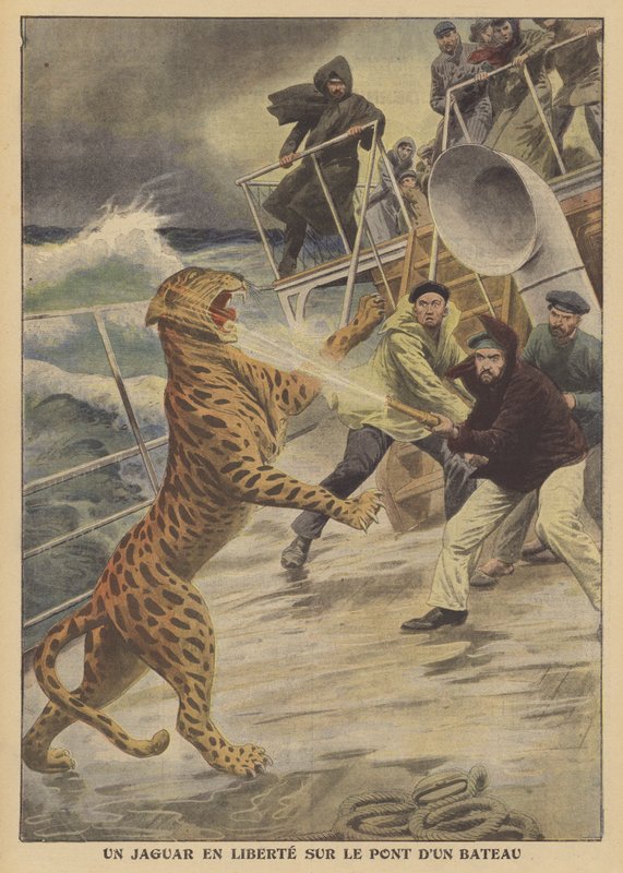 En rymd jaguar på fri fot på ett skepp (färg litho) av French School