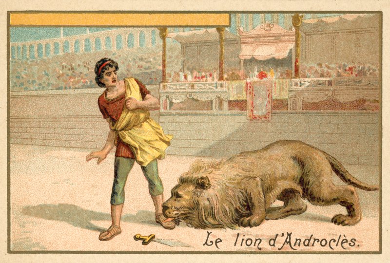 Androkles och lejonet av French School