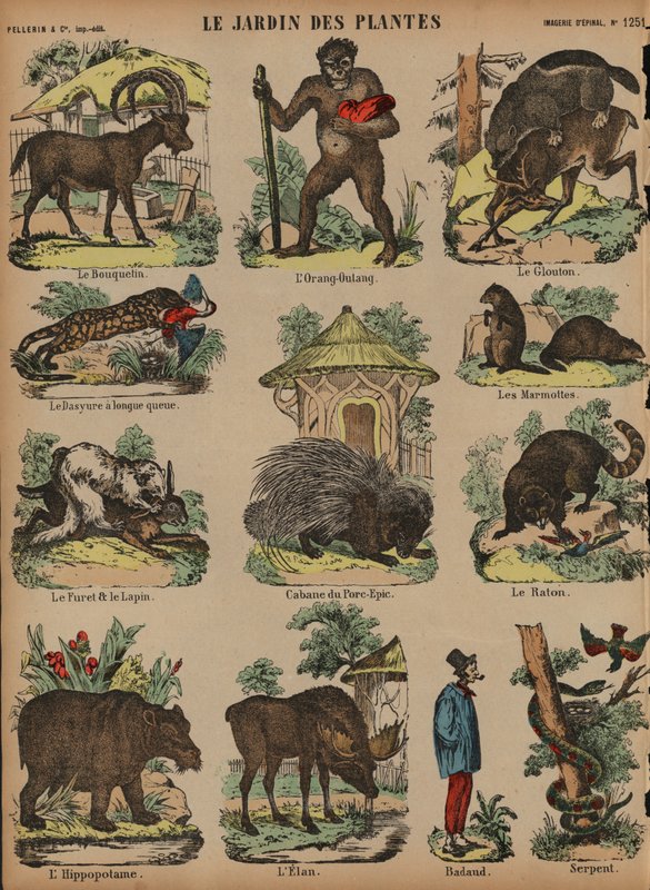 Djur på Jardin des Plantes, Paris, Frankrike (färgad gravyr) av French School