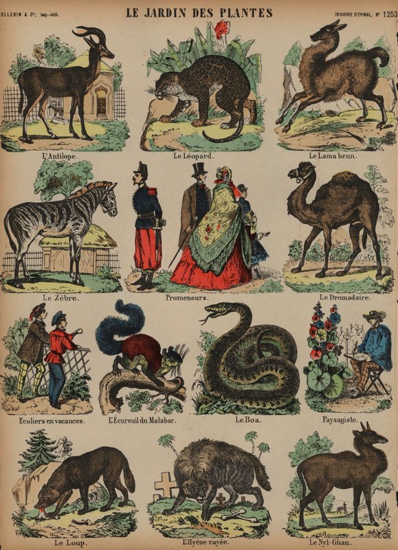 Djur i Jardin des Plantes, Paris, Frankrike (färgad gravyr) av French School