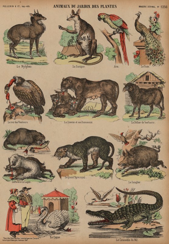 Djur i Jardin des Plantes, Paris, Frankrike (färgad gravyr) av French School