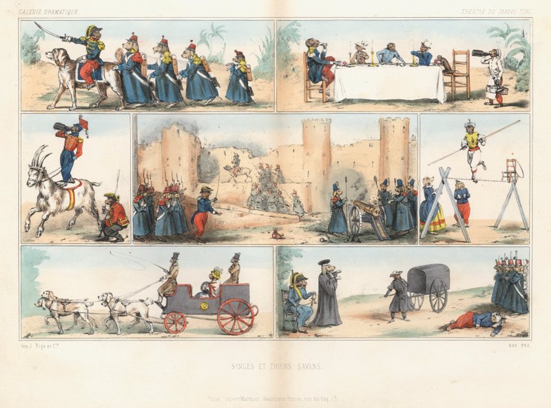 Antropomorfa hundar och apor (färgad gravyr) av French School