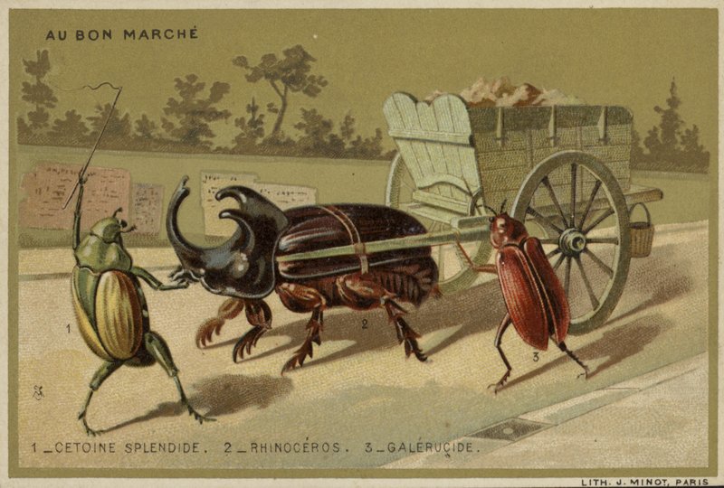 Au Bon Marche-kort med antropomorfa insekter av French School