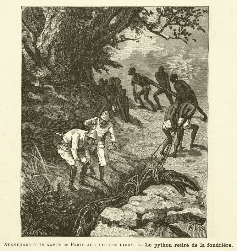 Äventyr av en pojke från Paris i lejonens land (gravyr) av French School