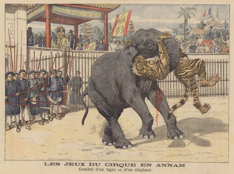 Kamp mellan en elefant och en tiger på en cirkus i Annam, Indokina (färglitografi) av French School