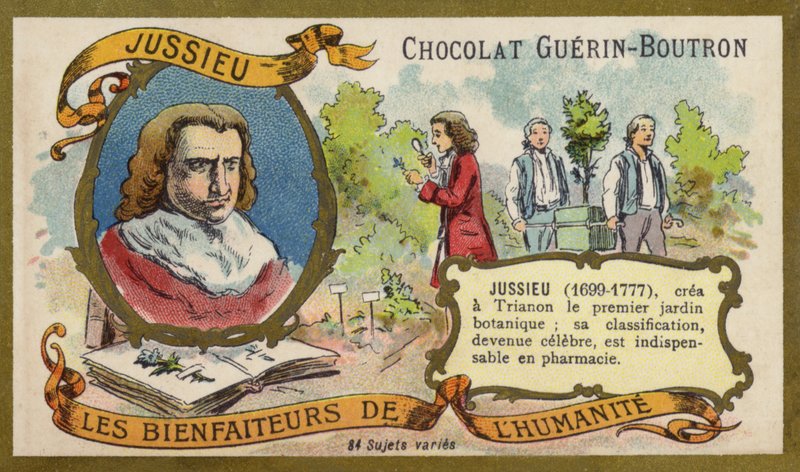 Bernard de Jussieu, fransk naturforskare (chromolitho) av French School