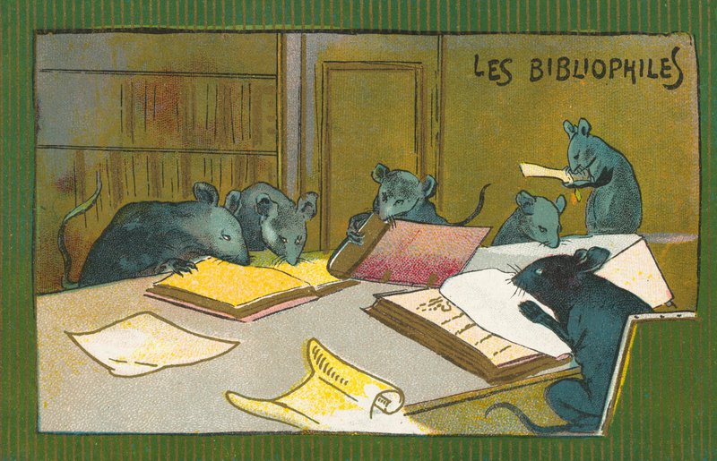 Bibliofila råttor (chromolitho) av French School