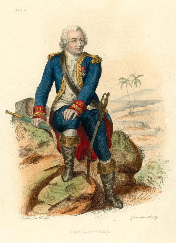 Bougainville (färgad gravyr) av French School