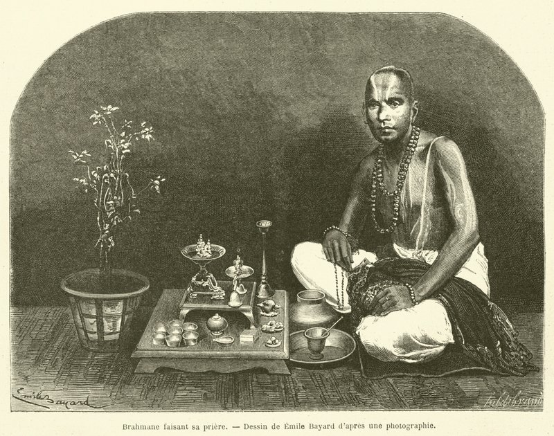 Brahman ber (gravyr) av French School