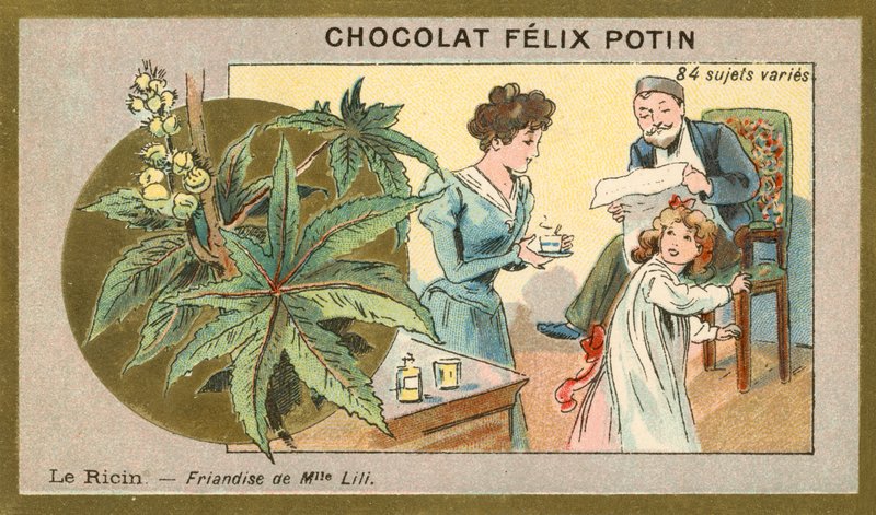 Ricinolja - delikatess av Miss Lili (chromolitho) av French School