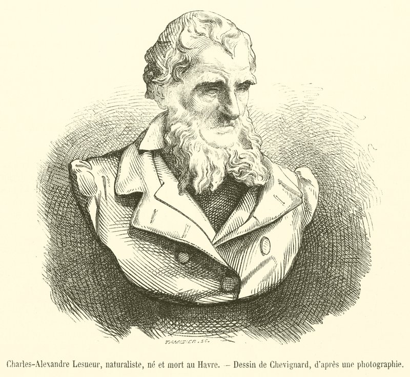 Charles-Alexandre Lesueur, naturforskare, född och död i Le Havre (gravyr) av French School