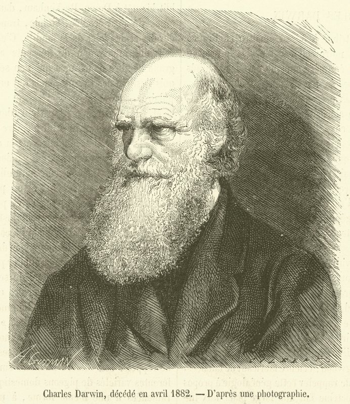 Charles Darwin, avled i april 1882 (gravyr) av French School