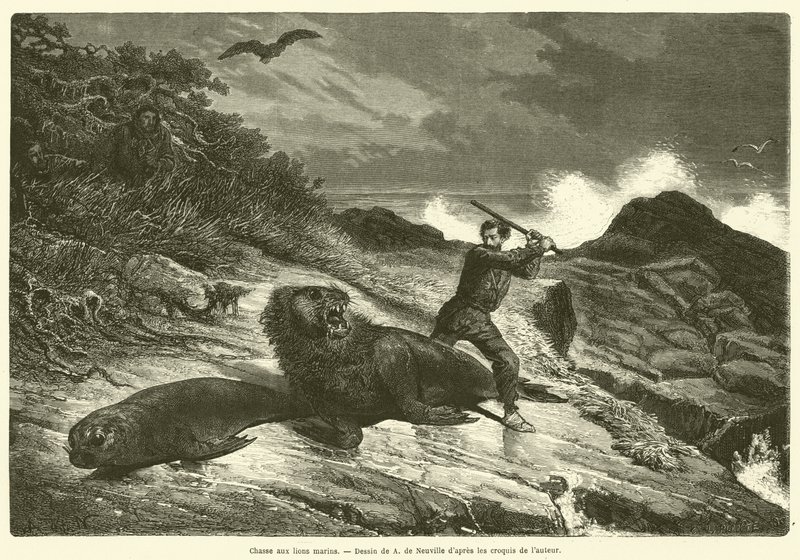 Sea Lion Hunt (gravyr) av French School