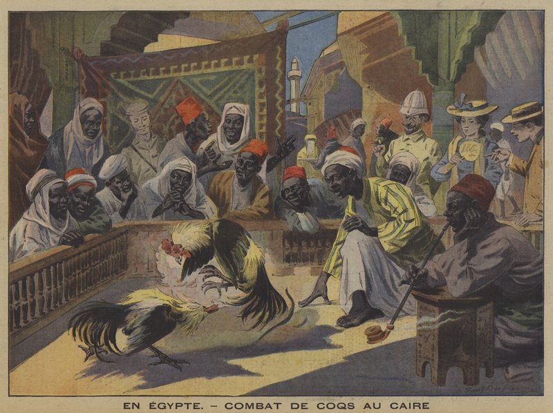 Tuppkamp i Kairo (färg litho) av French School