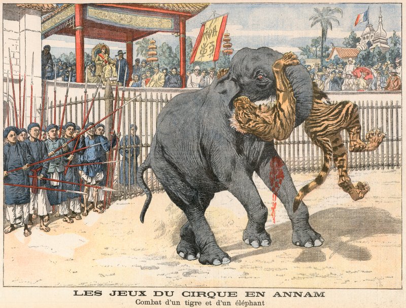 Kamp mellem en tiger og en elefantgift av French School