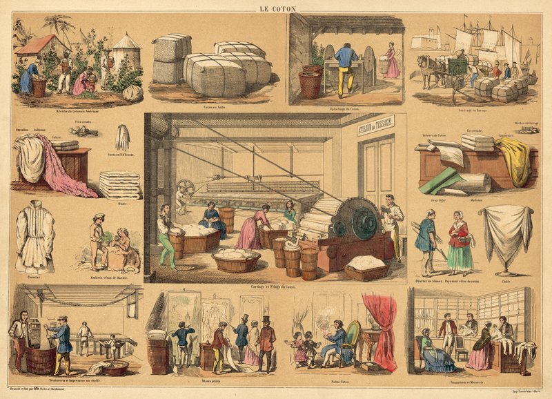 Bomull (färgad gravyr) av French School