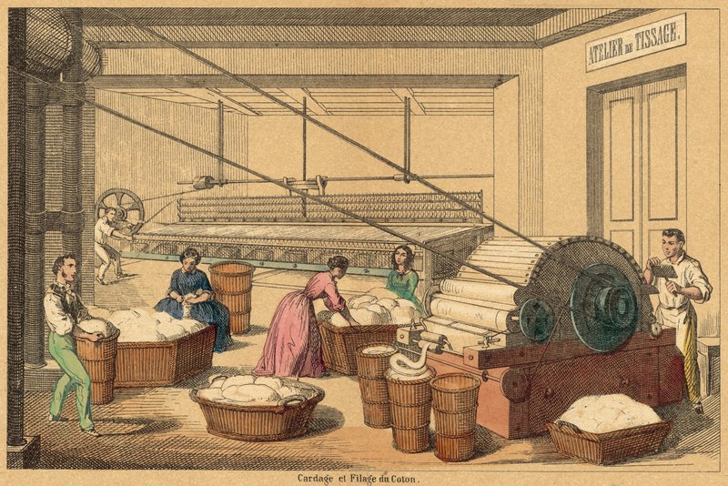 Bomull (färgad gravyr) av French School