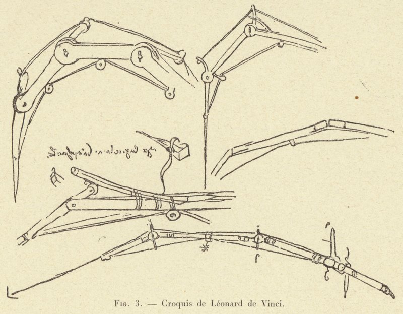 skiss av Leonardo da Vinci av French School