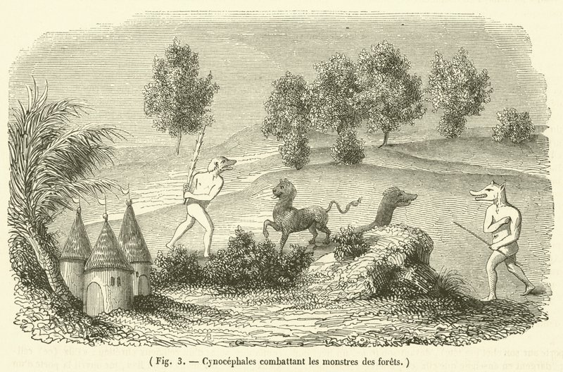 Cynocephales som slåss mot skogsmonster (gravyr) av French School