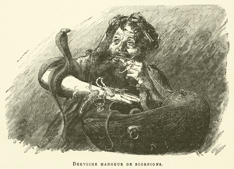 Dervisch Eater Of Scorpions (gravyr) av French School