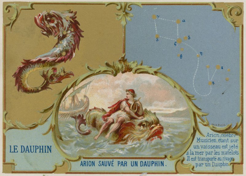 Delfin - Arion räddas av en delfin av French School