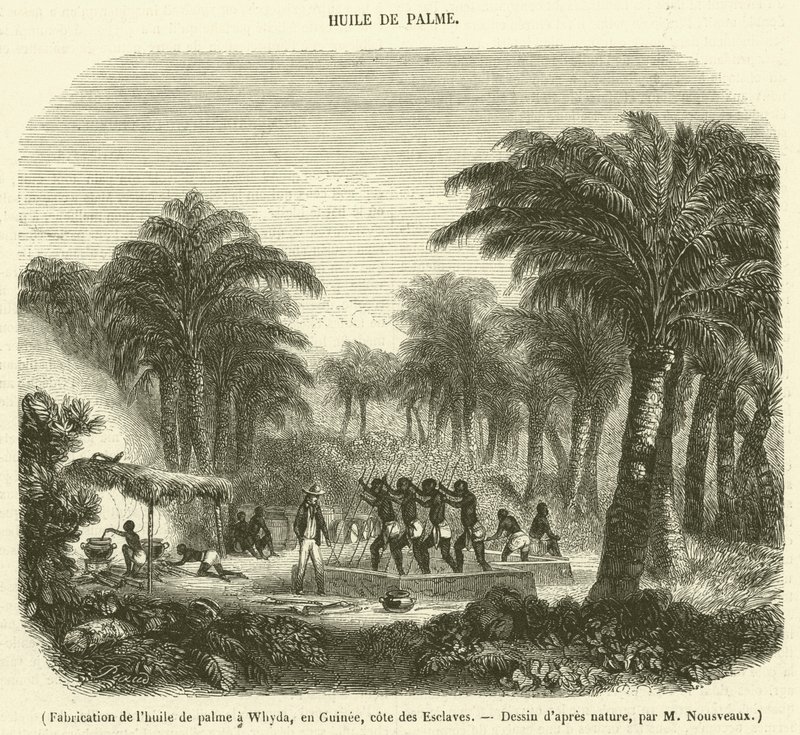 Tillverkning av palmolja i Whyda, Guinea, Slave Coast (gravyr) av French School