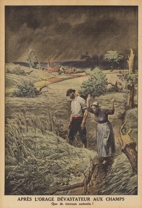 Fält ödelade av ett åskväder i Frankrike (färg litho) av French School