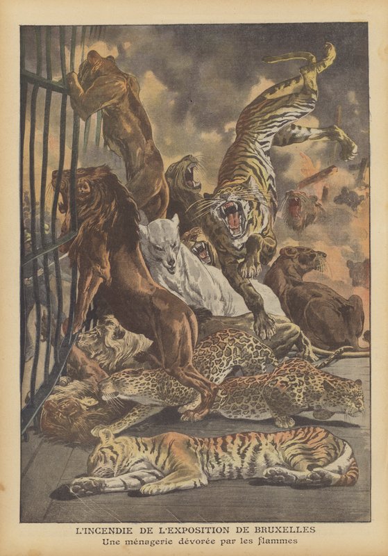 Brand vid Bryssels internationella utställning 1910 (färg litho) av French School