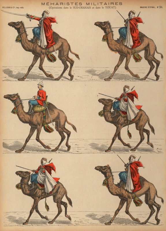 Franska armén Meharistes (kamelkavalleri) i Algeriet (färgad gravyr) av French School