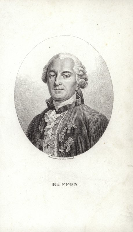 Georges-Louis Leclerc av French School