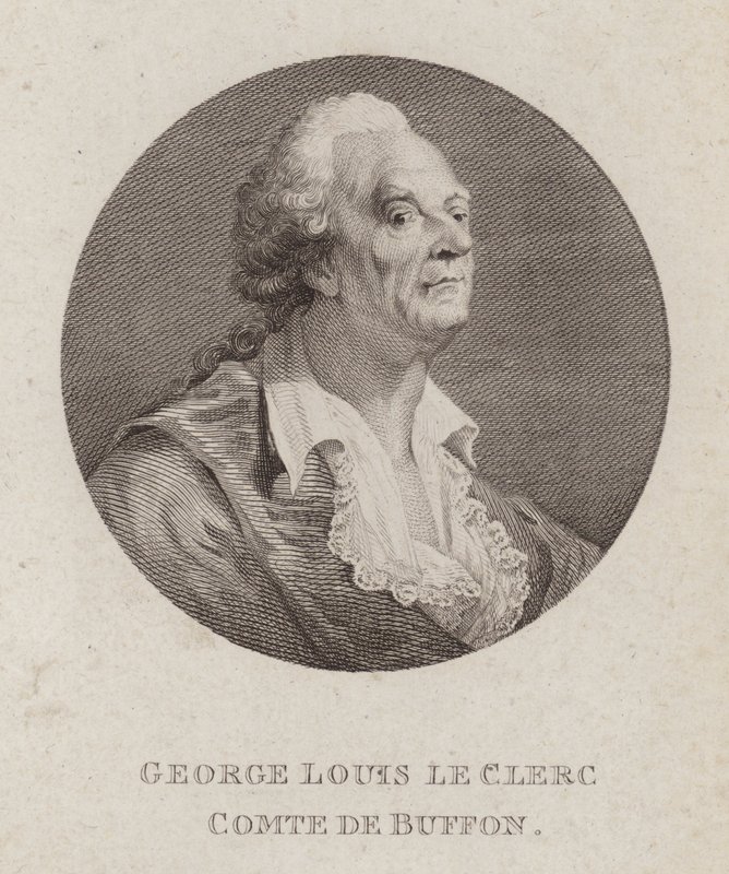 Georges-Louis Leclerc, Comte de Buffon, fransk naturforskare (gravyr) av French School