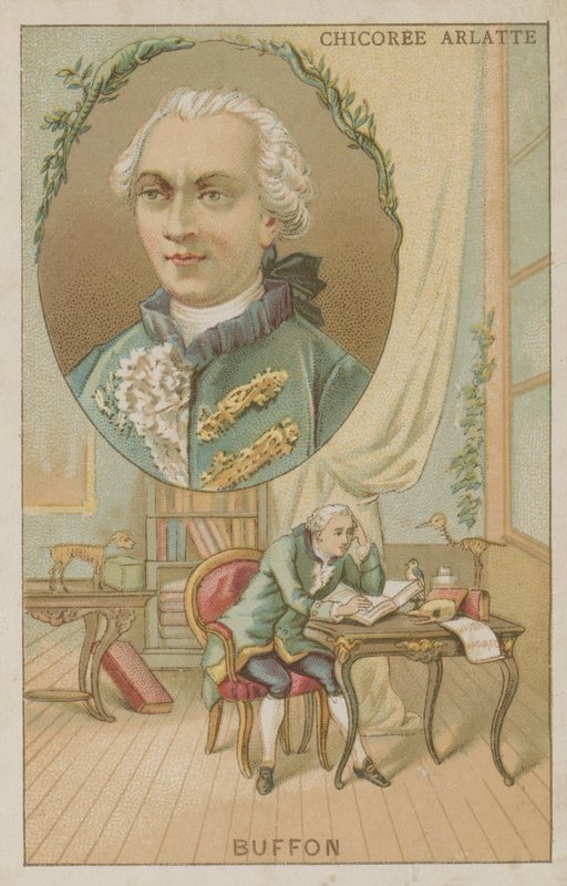 Georges-Louis Leclerc, greve av Buffon, fransk naturforskare av French School