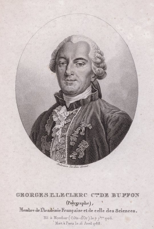 Georges-Louis Leclerc, Comte de Buffon, fransk vetenskapsman och författare (gravyr) av French School