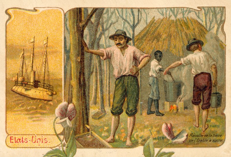 Skörda lönnsaft för att göra lönnsirap, USA (chromolitho) av French School
