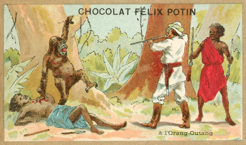 Jaga orangutang (chromolitho) av French School