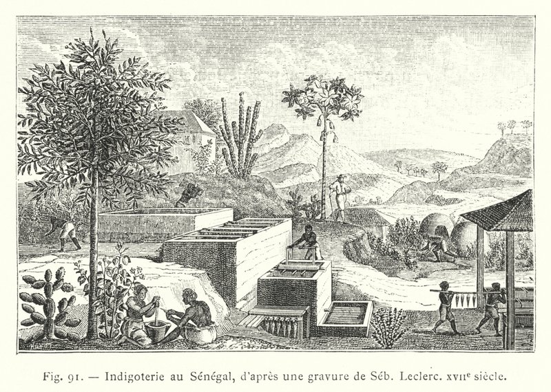 Indigoterie i Senegal, efter en gravyr av Seb, Leclerc, 1600-talet (gravyr) av French School