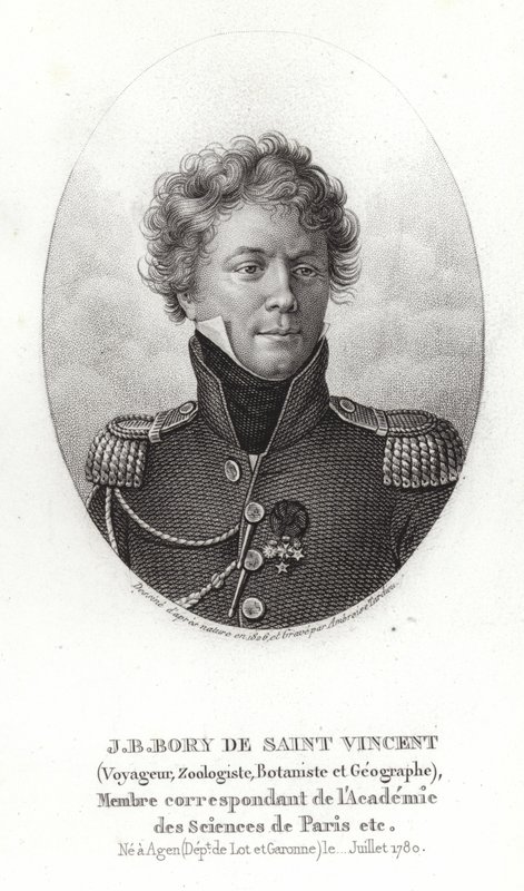 Jean-Baptiste Bory av Saint-Vincent av French School