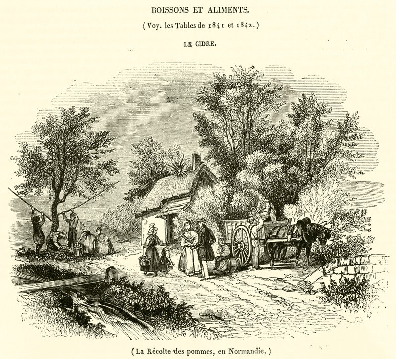 Skörda äpplen i Normandie (gravyr) av French School