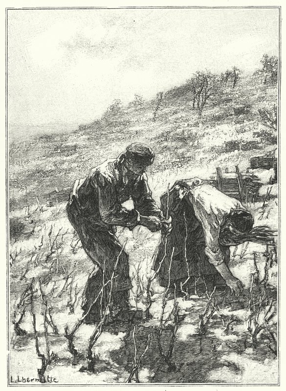 Pruning The Vines (gravyr) av French School