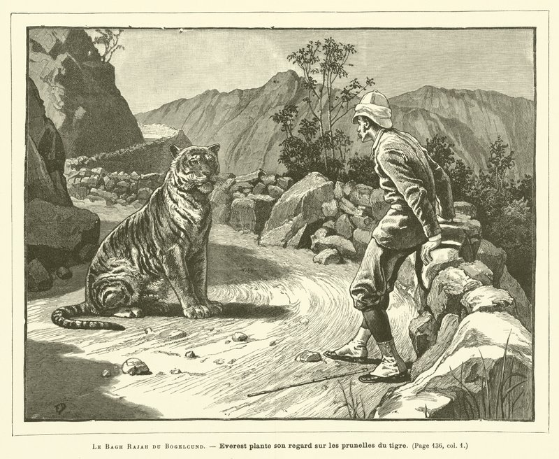 Le Bagh Rajah Du Bogelcund (gravyr) av French School