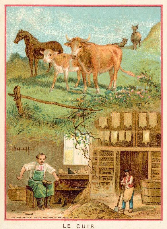 Läder (chromolitho) av French School