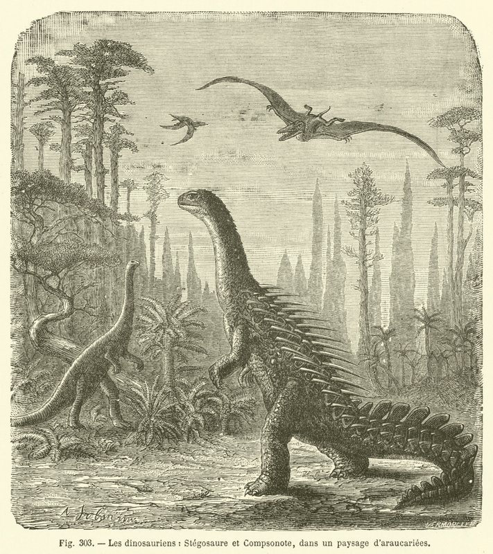 Dinosaurierna, Stegosaurus och Compsonote, i ett landskap av Araucariae (gravyr) av French School