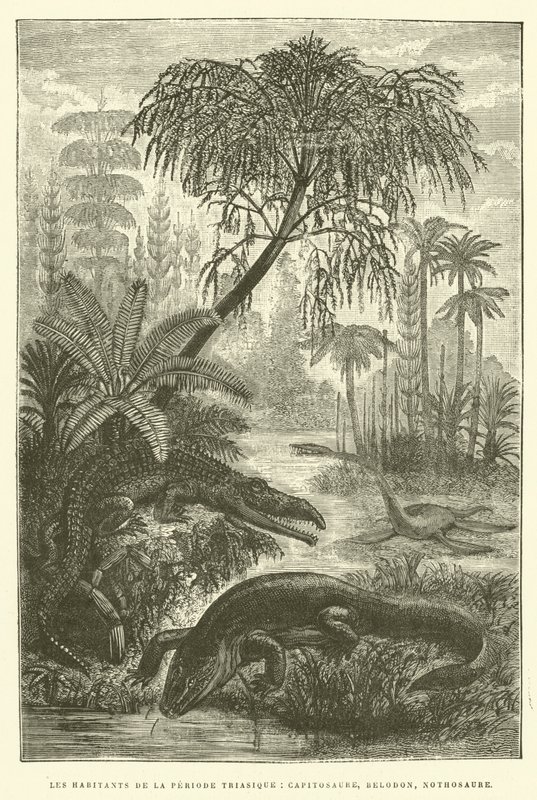 Invånarna i triasperioden, capitosaurus, belodon, nothosaurus (gravyr) av French School