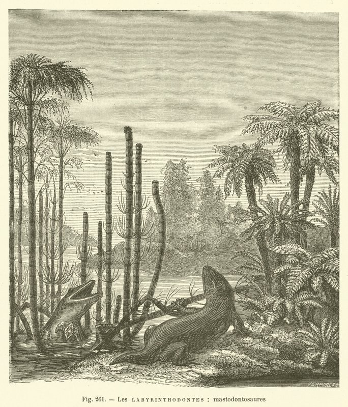 Les labyrinthodontes, mastodontosaures (gravyr) av French School