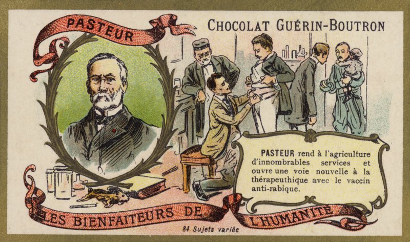 Louis Pasteur, fransk kemist och mikrobiolog (chromolitho) av French School